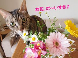 お花だいすき.jpg